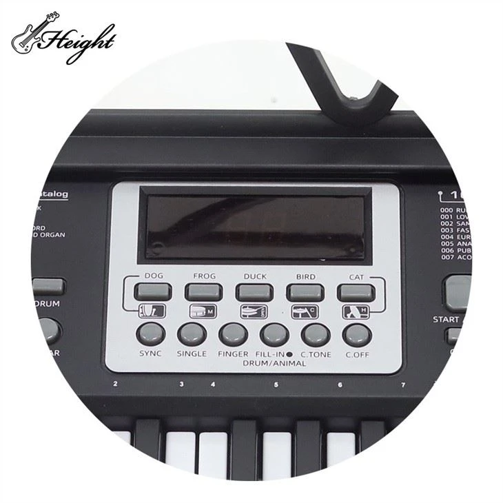 61 Keys Electric Piano Keyboard Instrument