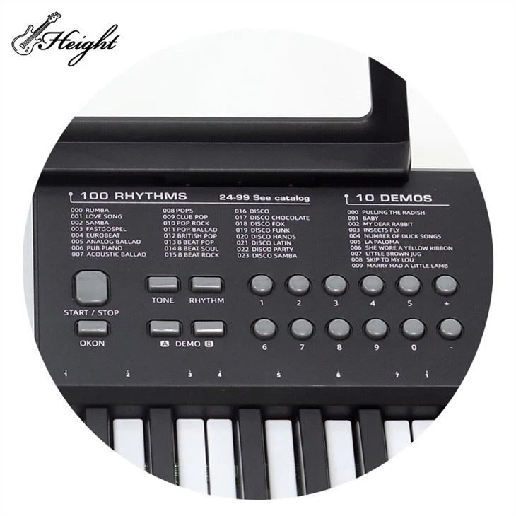 61 Keys Electric Piano Keyboard Instrument