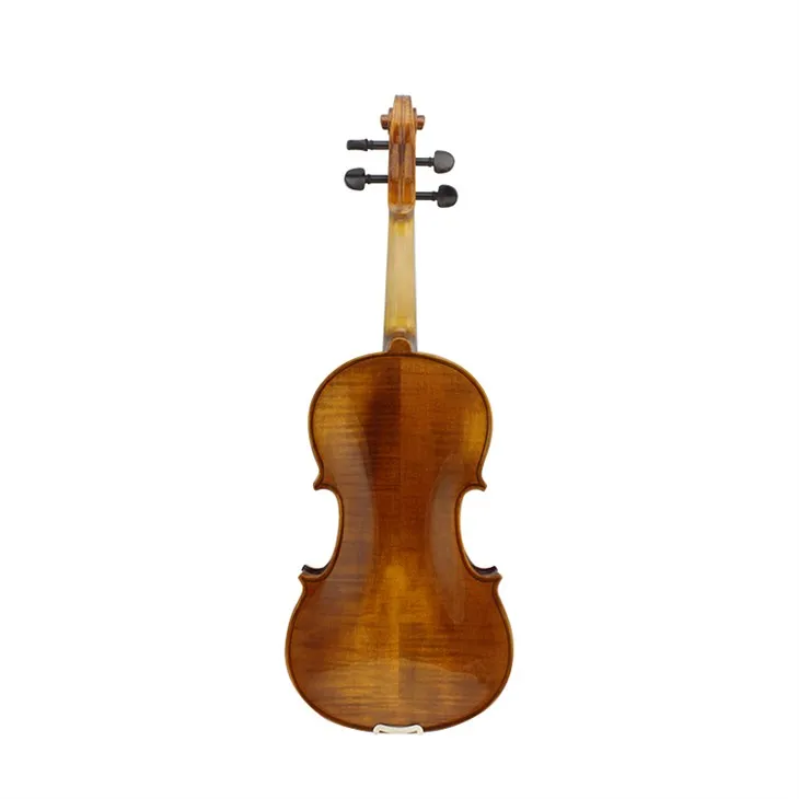 Spruce Wood Hopf Solid Violin With Maple Back