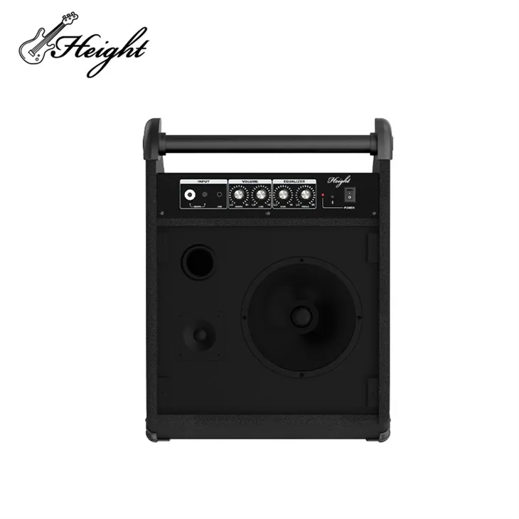 10 Inch Speaker 30W Guitar Amplifier